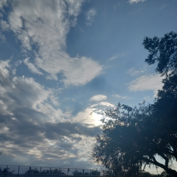 Meet your Posher, Ashlyn - Picture 1 of 1